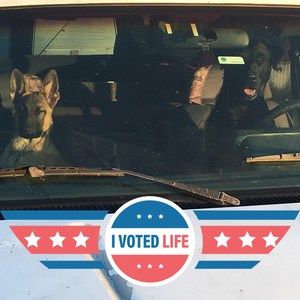 Meet your Posher, Myron